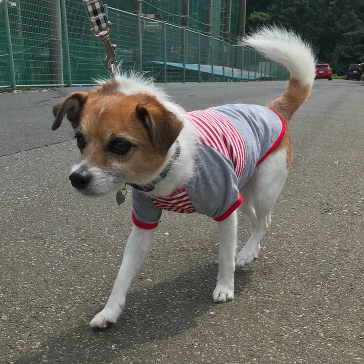 56c9dfec b797 4337 94ed 6ad34cfcffc6 1525310208360