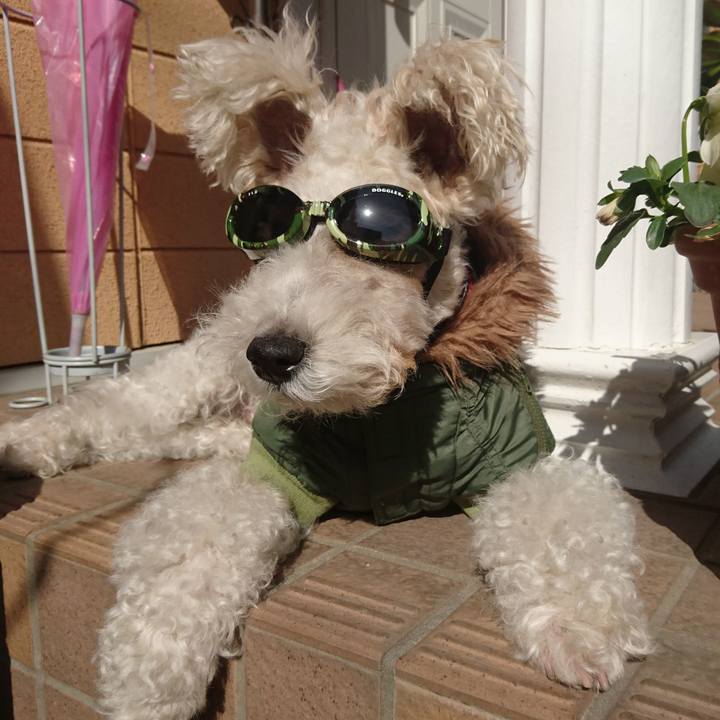 56c9e679 ddd4 4222 990e 64415bd0eac5 1550624817119