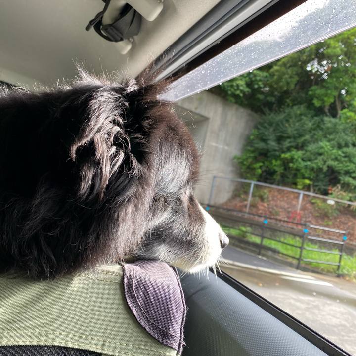 56c9ecd5 3bde 4a42 bd0c 1cc2c279097e 1655849317203