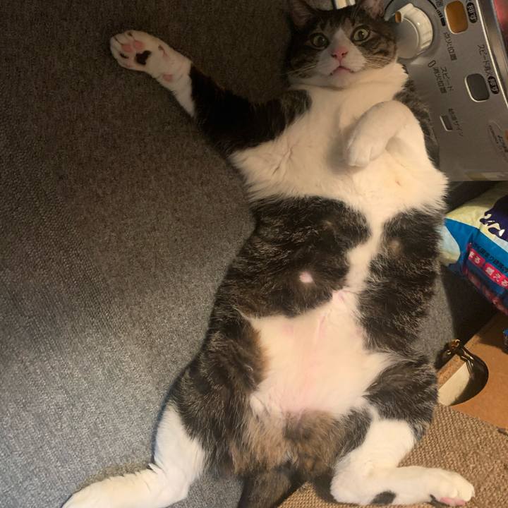 56ca4ee3 3567 422b 9cc8 211e0354b440 1582816246030