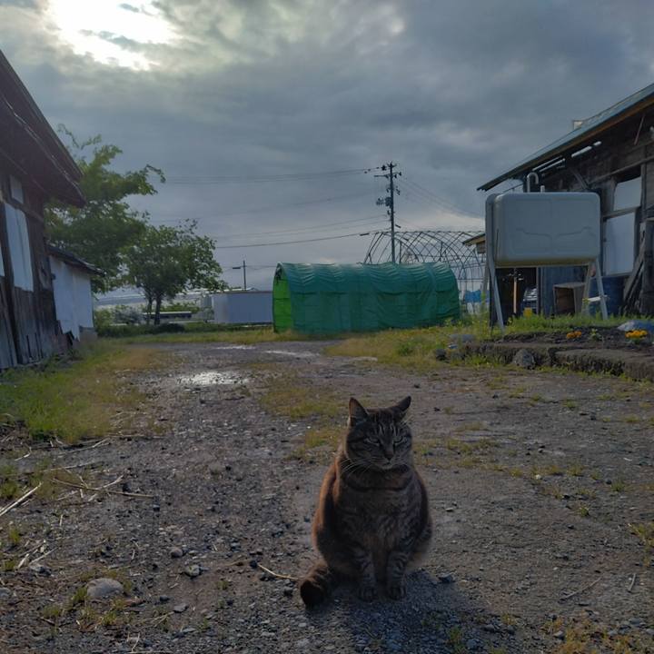 56ca5277 095c 4777 9723 d3b349890e67 1684881077416