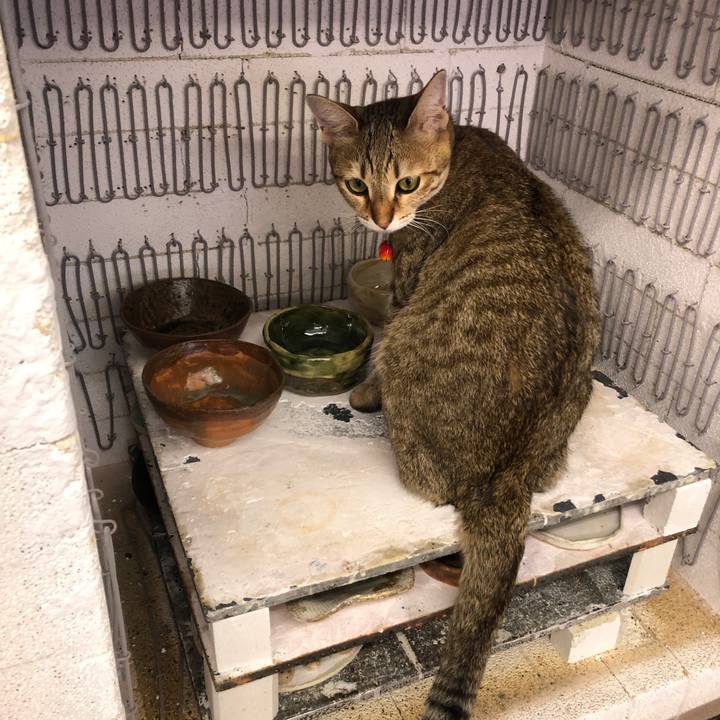 56ca5809 7c20 4155 b12d 53c2ff75feb4 1593406904201