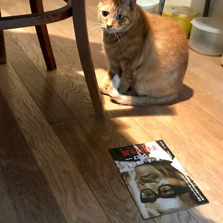 56ca6efb db30 45a5 8bed adf0db4a4c9f 1567674167314