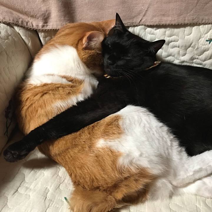 56cac2a1 b2d1 4cb5 910c 505b030d2f1f 1622154146183