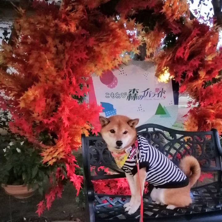 56caf4af 4d13 479b a5ef 3565912097ea 1636297438616