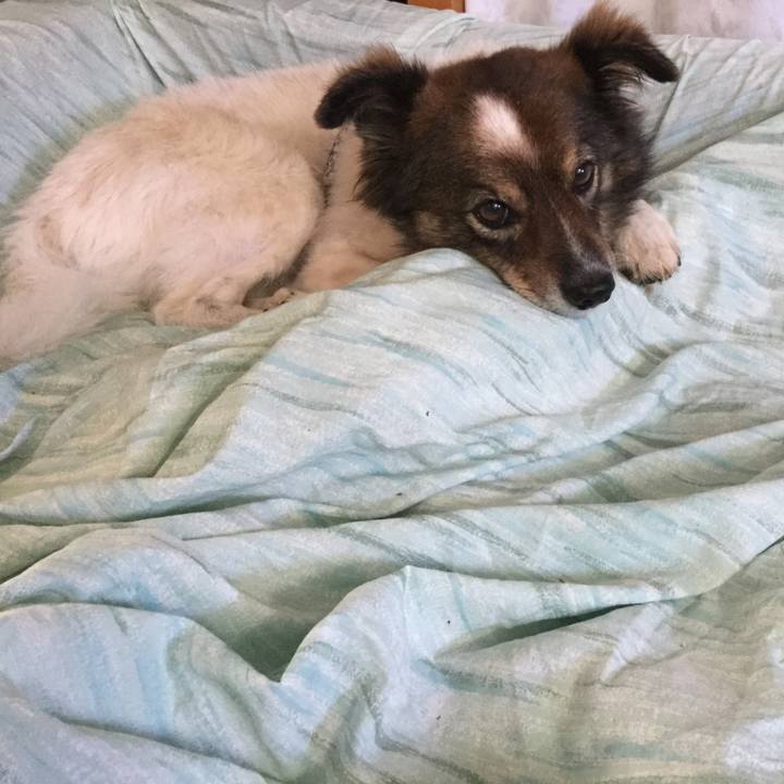 56cb02d1 7f14 4d58 a53c 33dccc357c79 1540522159761