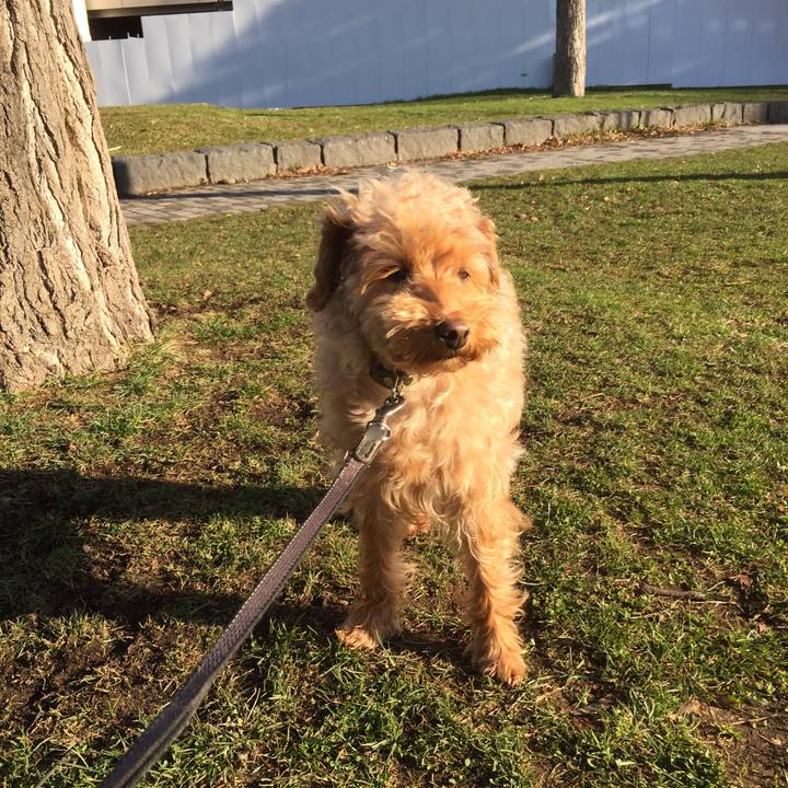 56cb29d4 469b 47b3 8707 05be9c5f15db 1523917445497