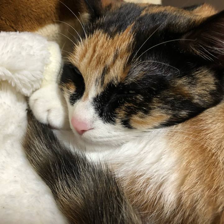 56cb42d3 7464 4b5b 8423 f38571b8c241 1554460970531