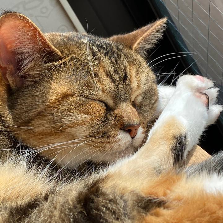 56cb7b3e 65a6 4af8 a6e8 04050617efb2 1588039159607