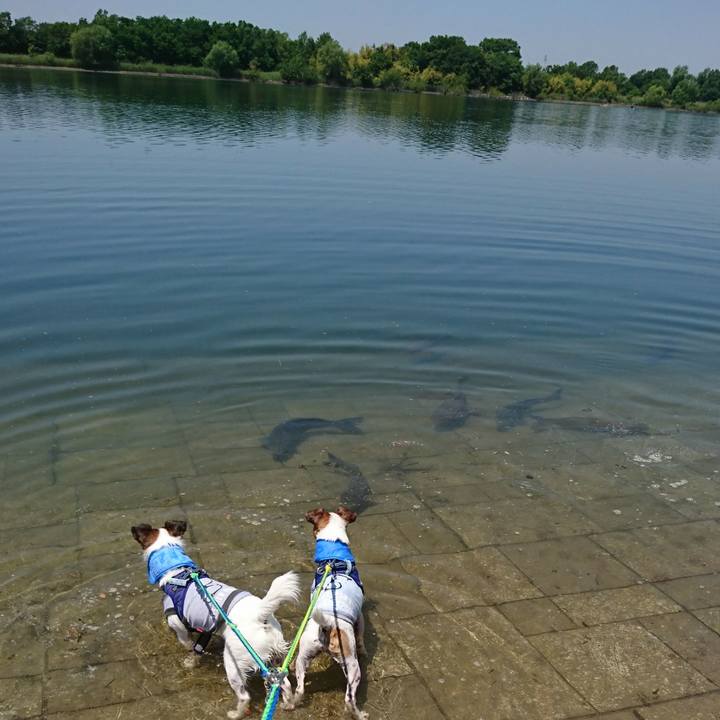 56cb96b7 4f03 48d5 8d4b 90f6eff2a83e 1558760384435