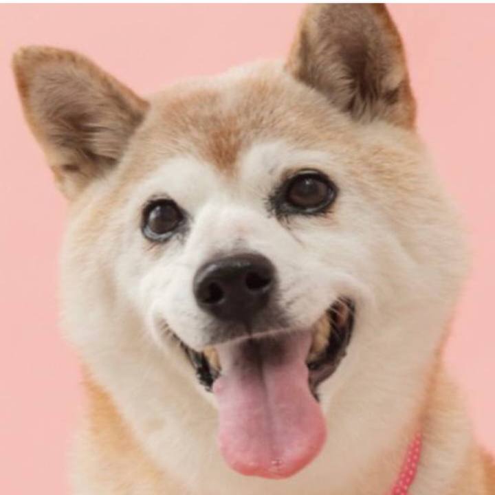 56cbd6d1 3497 4678 92d6 8909e51d66c5 1645832874730