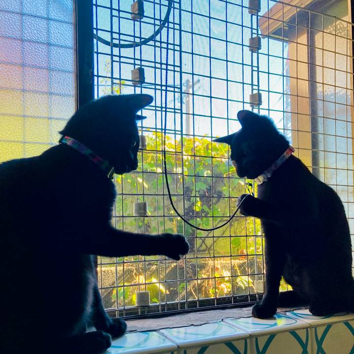 56cc0a15 743a 401f 949e 2d13c5501aa1 1632198430422