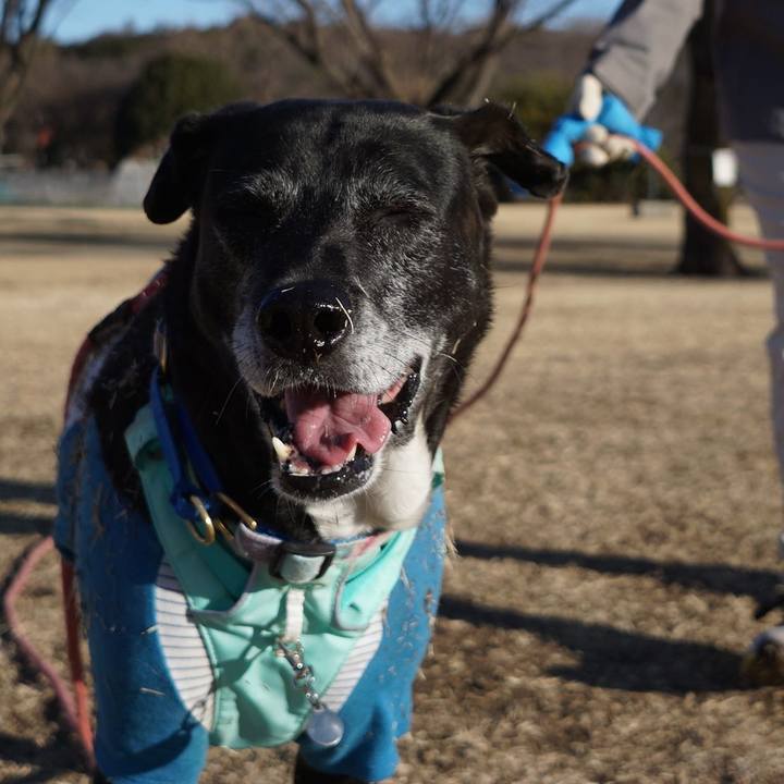 56cc3665 6af7 44c0 85ea 74bfcb687419 1769907973717