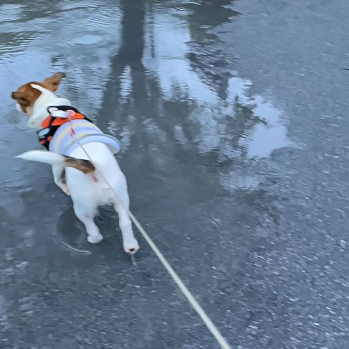 56cc4db5 f259 41fd 9d82 17233983542e 1693793024199