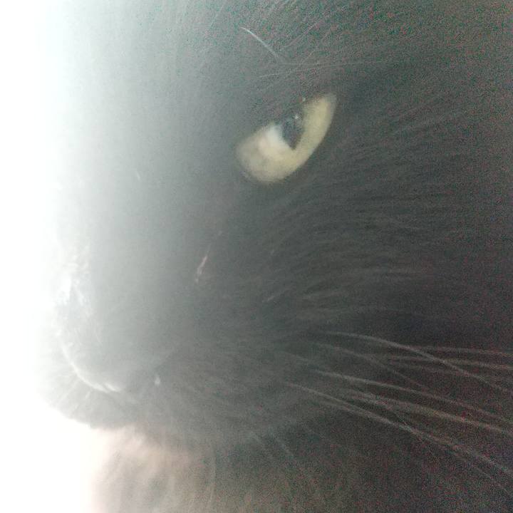 56cc5740 ab19 41a9 8466 a24dbcddbbaa 1618873275638