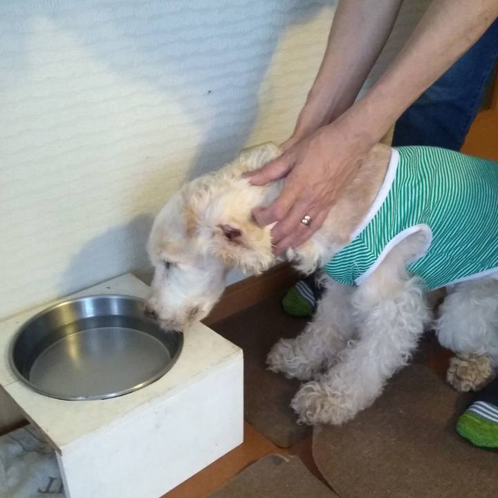 56cc5f4e c2db 4843 8d13 48920799d635 1565693156307