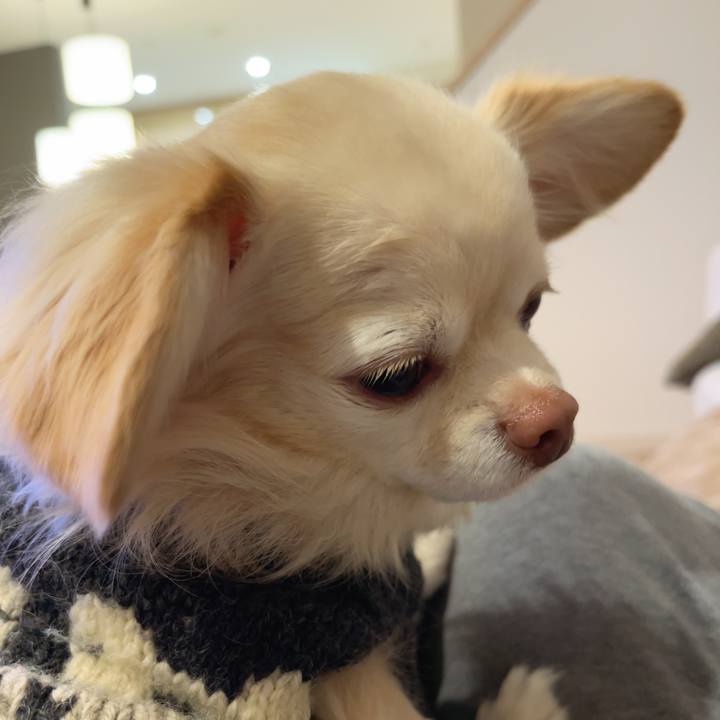 56cc7783 93b7 453a a20f c3cd74e72a65 1734086550800