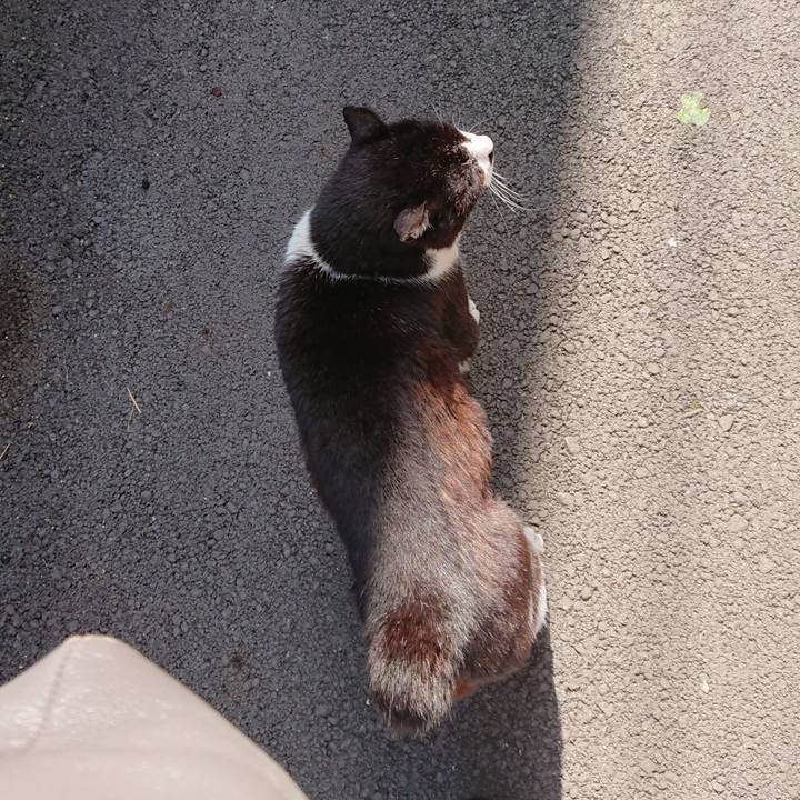 56cc8248 a06d 4a4b bc87 60beaefb4af6 1684365363150