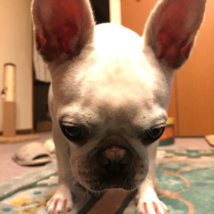 56cc928c e159 43c0 930a da09f1a1bbfe 1592393885728