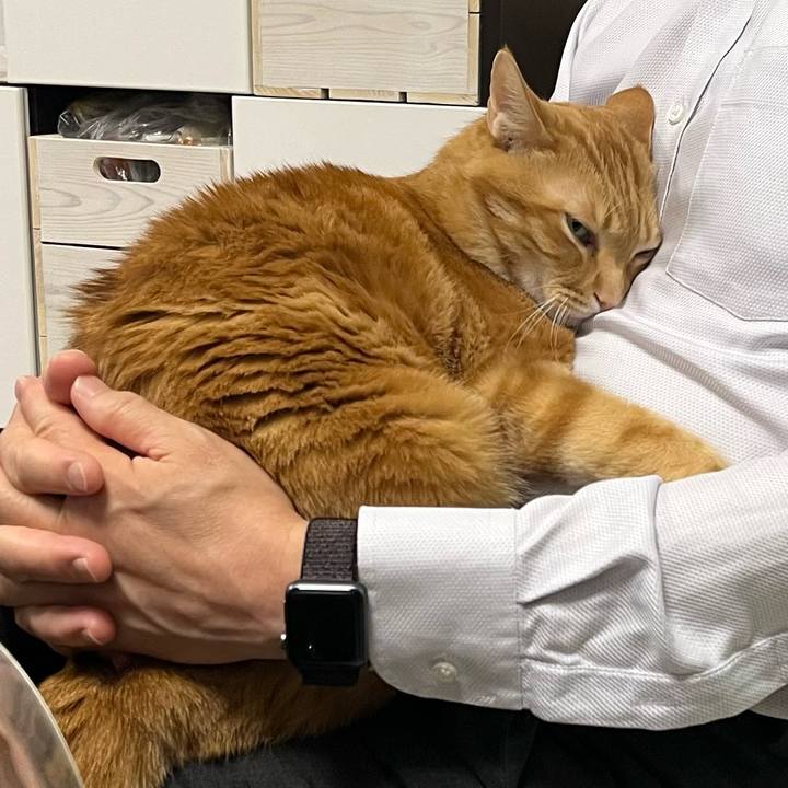 56cca5d1 341f 46f9 bc25 0e97872bd9b8 1655416064584