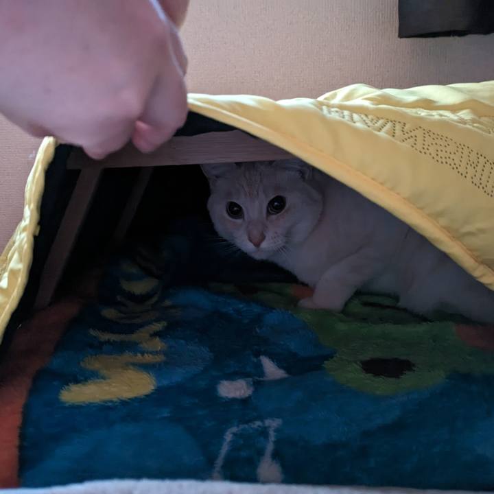 56ccd77a e50e 47f2 afb4 af370bf89dbb 1702560480252