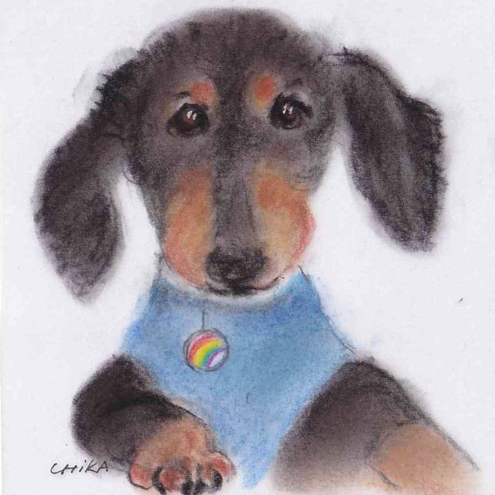 56cd8206 6a2a 4fa7 a23a 580c8ce74e70 1637570840377