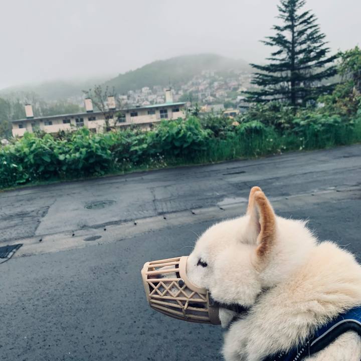 56cda37c 154c 4e3f 9a85 eaa32b9bb56a 1621717401055