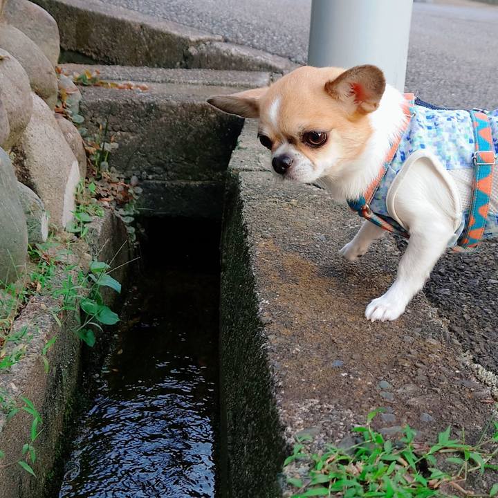 56ce0bd9 5c0d 4dc5 900f e537651eaaaa 1629612259663