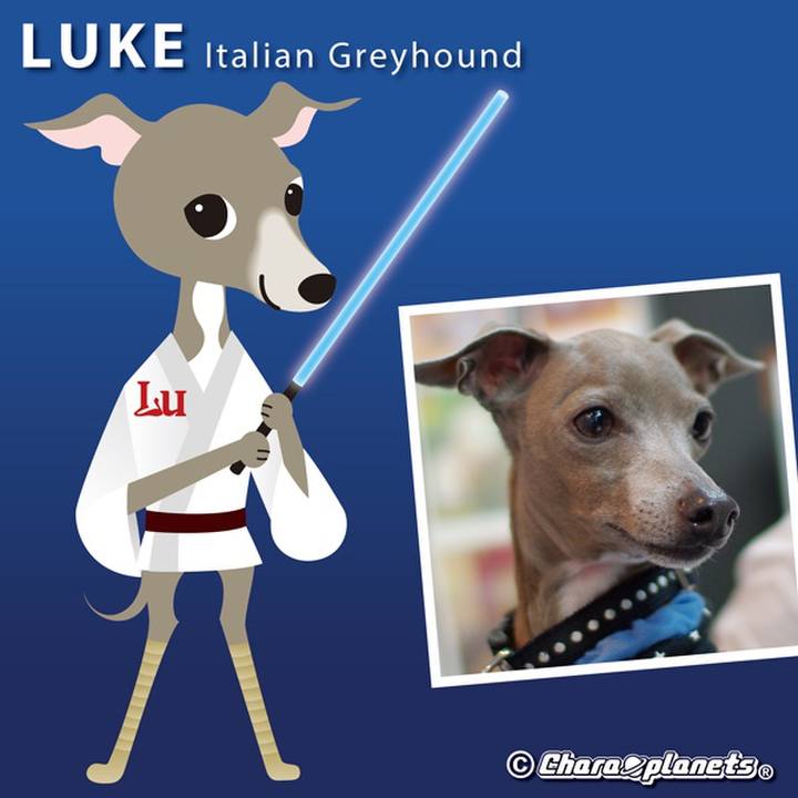 56ce3064 3440 416f 921f cd59cd865f02 1559363824937