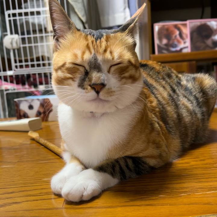 56ce369f fb05 466e b28e d08edb8dc42a 1682979983360