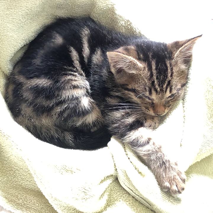 56ce4510 8365 4c02 ab98 d4447b64fa98 1723933222470