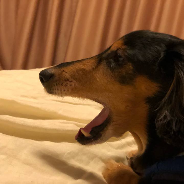 56ce5b31 021b 437d a27f b5e6a025ab5d 1529592490772