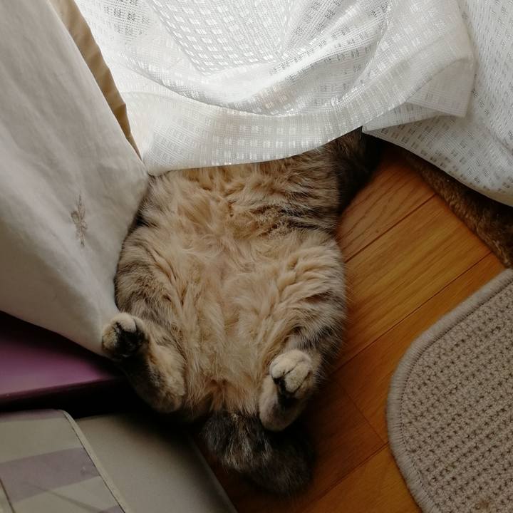 56ce83a6 1acc 4372 a964 f54eb949fdaa 1537157812429