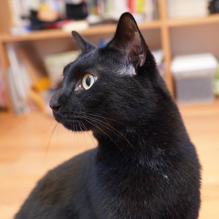 56ce872f 4430 480e 993b c5ce697791aa 1591454804096