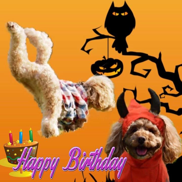 56ceb62e 0f94 4d27 b6eb 997e1e9196d3 1540987648635