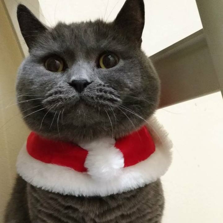 56cecf14 0c85 424e 8128 8f9e952326eb 1545638794591