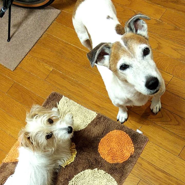 56cecfcd 9e45 43d2 9cd8 4a31c4e371d0 1565735799652