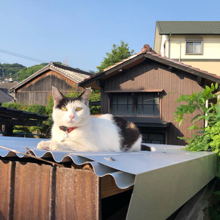 56cefc31 3134 4e26 aa92 b5bedc8ac421 1624402671693