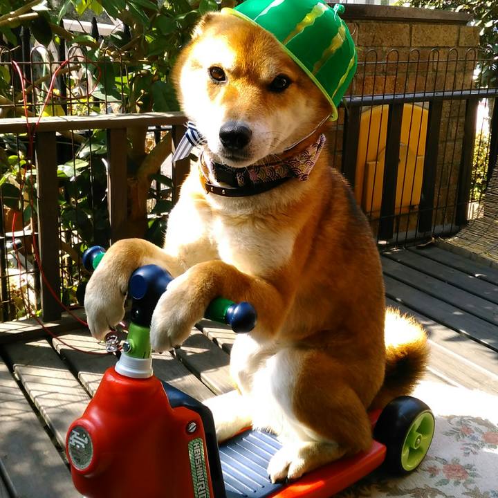 56cf2d28 ee53 4ab7 8bf8 c3cdedc679d3 1522284329019