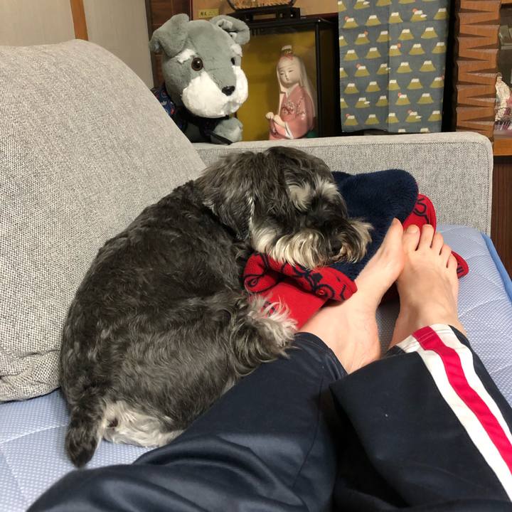 56cf4d4b e403 4c9b a4ce 51db2b70fa88 1592744287983