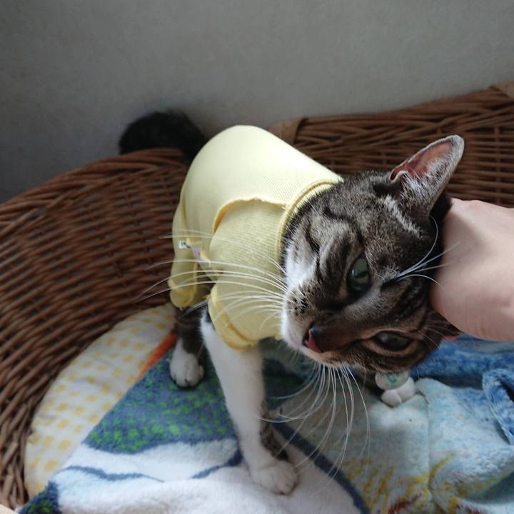 56cf5d40 a78b 429d b9c8 3f85aa0e03da 1627099563371