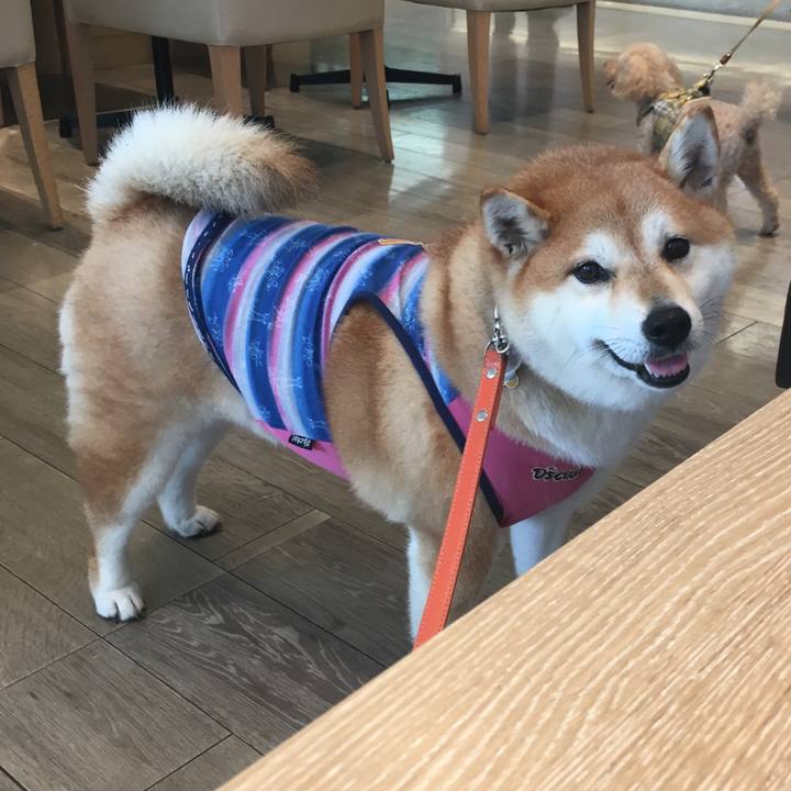 56cf8e8c e770 409f b996 98d7f27f4083 1566196810017