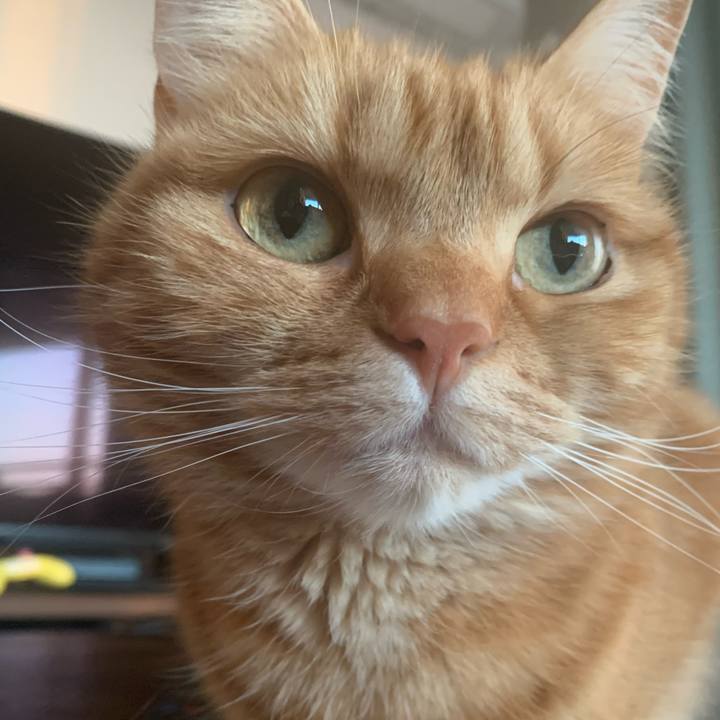 56cfbca4 edf8 494c aa97 898b605f5d60 1649128926667