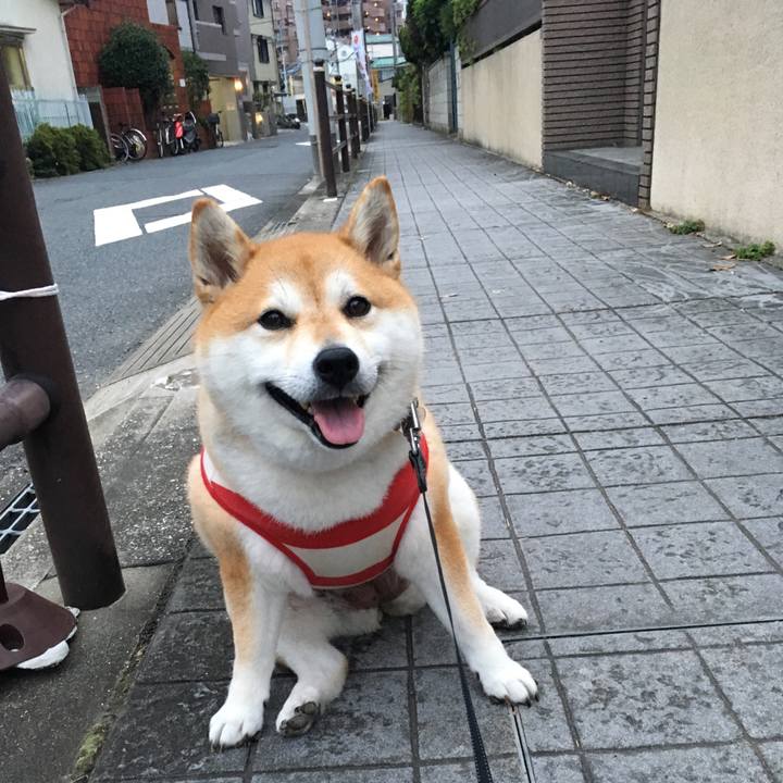 56cfd0a2 ee22 4ab4 a40f 57d99b715ed1 1569142151772