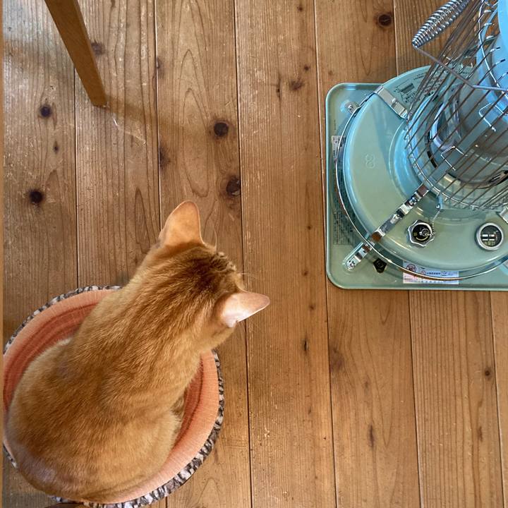 56d046b3 b4e6 46f8 9f87 905cd76e7e98 1645236861385