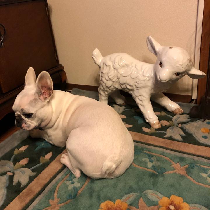 56d04fe0 70af 4f82 9c83 b6f503885688 1542974847784