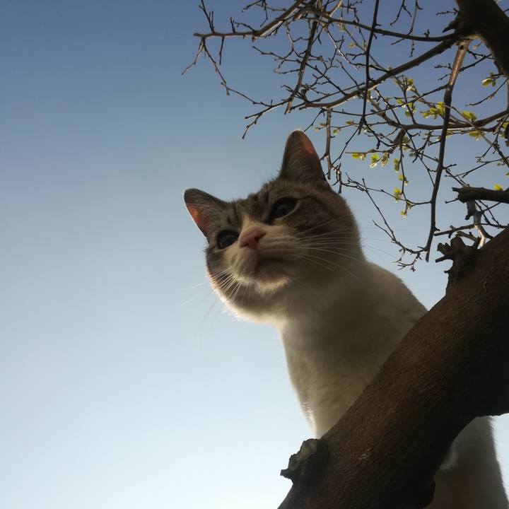 56d07be1 72d4 4fd7 9695 dbbb81bb82b5 1521873884520