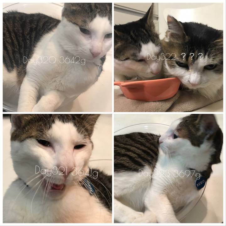 56d0ab94 8eea 4d33 87c1 e767ffa5c06c 1515051859032