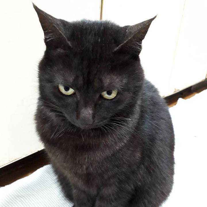 56d0c24e ee95 4712 8bf7 a838f04d1090 1580464605680