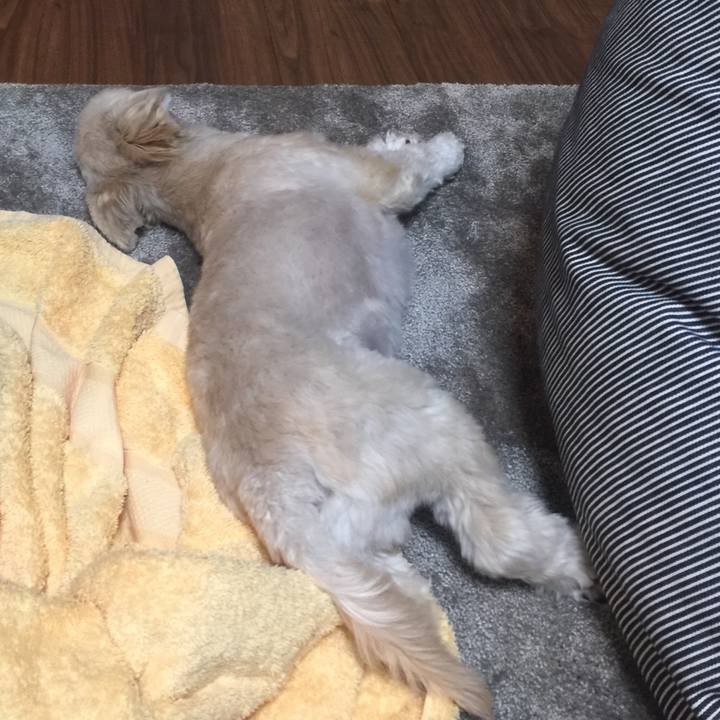 56d0eeb4 ed23 4307 92ba 0a872f48da2c 1529758039343